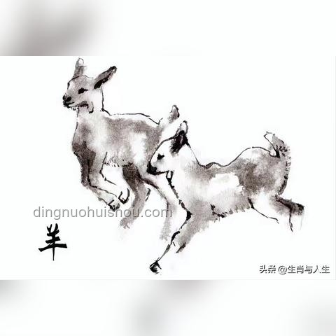 从“猴”到“人”的自我发现之旅🐒👉👨